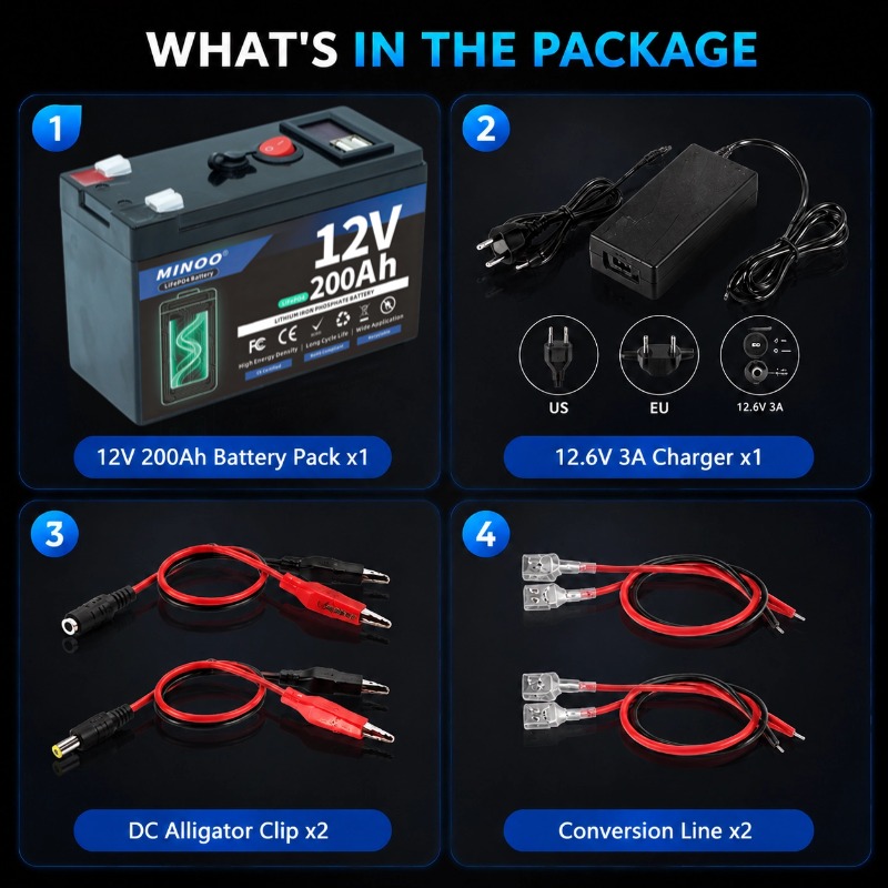 Batteria LiFePO4 12V 200Ah a c - Fish Finder Charger recensione e prezzo